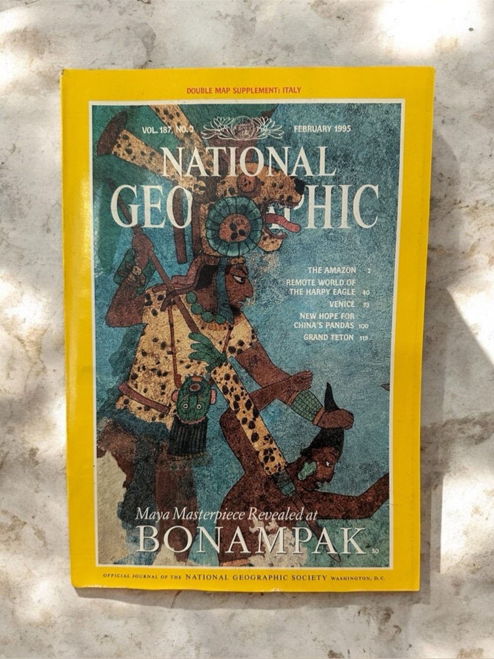 National Geographic Magazine February 1995 Italy Amazon Venice Panda Eagle